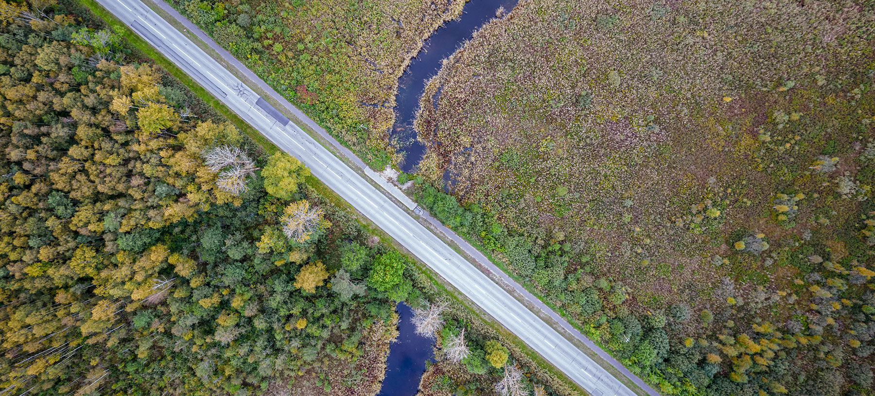 #3D Highway Bridge rendering