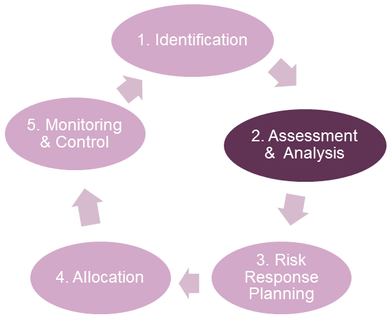 Step 2. Risk Assessment