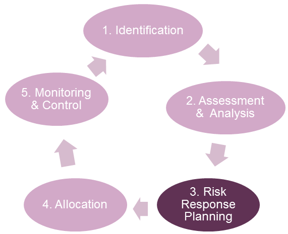 Step 3. Risk Response Planning