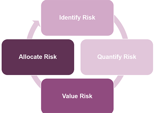 Chart: Identify Procurement Options