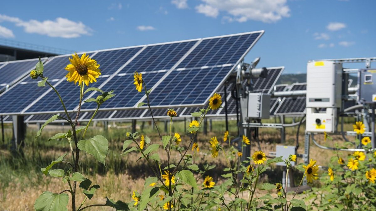 The Wild Springs Solar Project is South Dakota's first large-scale solar operation on private...