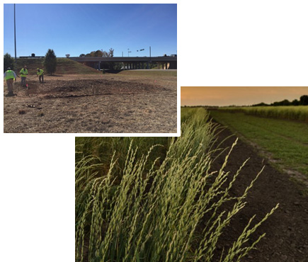 Green initiatives alongside interstate 85 at exit #6