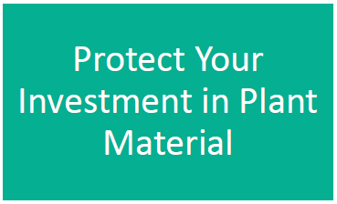 Protect Your Investment in Plant Material
