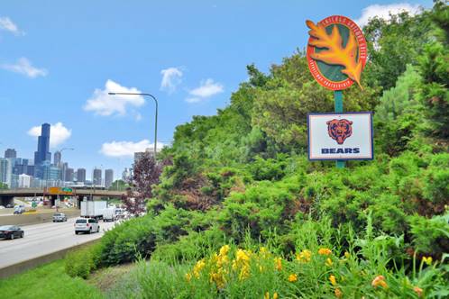 The sign for the Chicago Gateway Green garden sponsored by the Chicago Bears, on the side of the road with the Chicago skyline in the distance