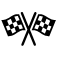 Icon racing flags