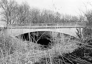 Deering Bridge