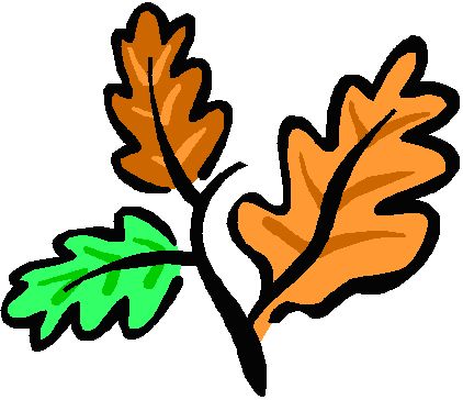 leaf graphic