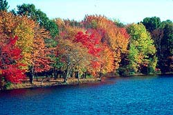 Picture of Lake in Fall