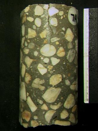 Figure 1. Core from bridge deck showing vertical surface cracks induced by general expansion and cracking in the interior. This picture shows a moist concrete core, between 18 and 19 centimeters in length with a visible vertical crack from the top of the core and several horizontal cracks through the coarse aggregates.