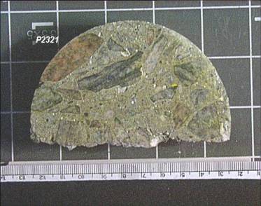 Figure 5. Lapped section from core of damaged bridge deck treated with sodium cobaltnitrite. This picture shows a half-circle concrete slab on top of a grey grid and ext to a ruler. Several aggregate particles are visible, along with some slight yellow staining on the surface of the core.