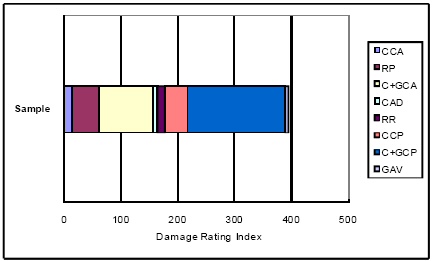 This figure shows a graph with several colored rectangles side by side, each rectangle representing a feature. The width of each rectangle represents the presence of each feature found during the examination.