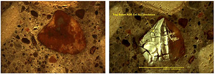 The left side of this image shows a close-up of a polished concrete sample, and a large brown-colored aggregate at the center. The right side of the image shows the same sample with white pasty accumulation on half of the surface of the large aggregate. There is an arrow pointing to the white substance with the text 'Fog Room ASR Gel Accumulation' and a scale is provided under the aggregate that reads the size of the aggregate in millimeters.