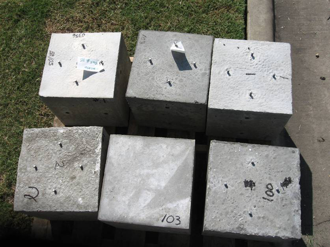 This image shows a sample of the concrete blocks cast for the exposure sites.