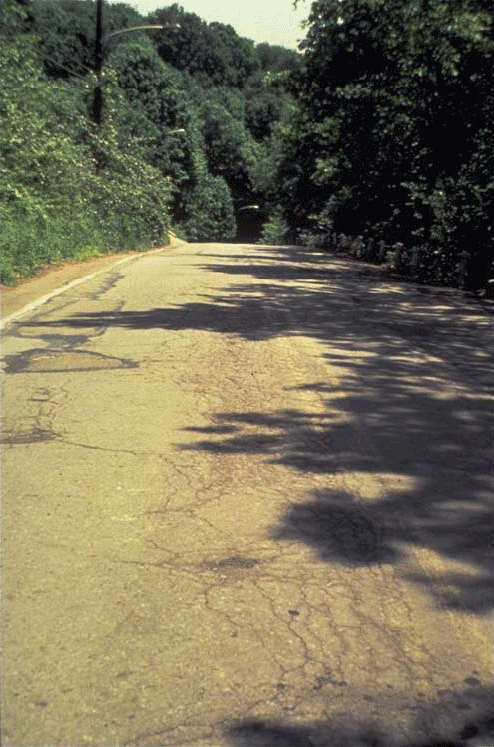 Figure 2-12. Pavement before recycling.