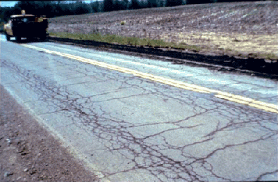 Figure 3-10. Alligator cracking.