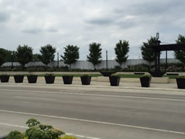 A photo of the bridge's sidewalk which shows the planters separating the sidewalk from the road.