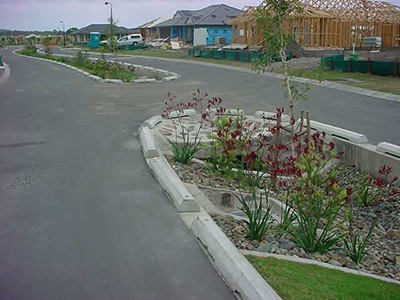 Raingarden with colorful vegetation and rocks along a median.