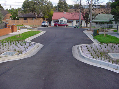 Raingardens planted in bumpouts that narrow a residential street into a single lane.