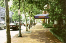 Street trees and light fixtures are carefully lined to one side of the sidewalk to provide the widest space possible to pedestrians.