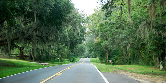 Two-lane road lined with trees.