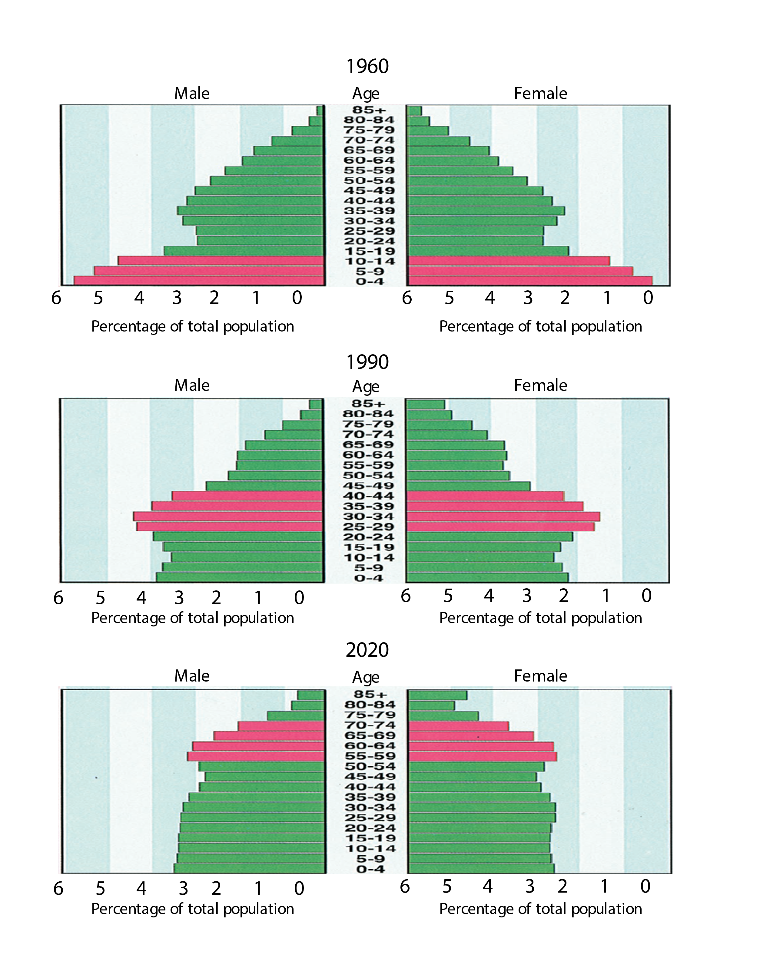Three horizontal bar charts display male and female percentages of total population by age. The bar charts include data from three years: 1960, 1990, and 2020. Each bar chart shows data from the baby boomer generation (pink) and the Millennial generation. Percentages were similar for both males and females. In 1960, the majority of the population were ages 0-14 and these were included in the baby boomer generation. These percentages continue to decline as age increases with the Millennial generation, with the lowest percentages being ages 85 and older. In 1990, the baby boomer generation was aged 25-44 and these represented the larger percentages of the total population. These percentages continue to decline as age increases with the Millennial generation, with the lowest percentages being ages 85 and older. Percentages also decline in the other direction from ages 0-24. In 2020, the baby boomer generation will be ages 55-74 and these will represent the largest percentages of the total population. These percentages continue to decline as age increases with the Millennial generation, with the lowest percentages being ages 85 and older. Percentages also decline in the other direction from ages 0-54. Source: U.S. Bureau of the Census. 