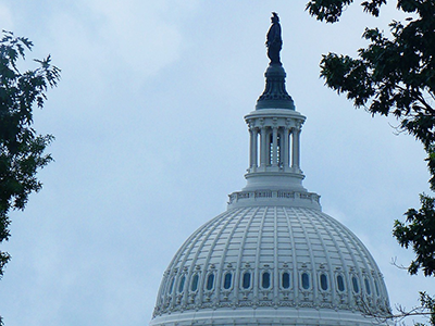 A majestic view of the U.S. Capitol Building in Washington, D.C., framed by a clear blue sky. The iconic neoclassical structure features a white dome and a series of impressive columns, set against lush green surroundings.