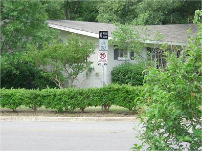 Hedge lined street with no parking.