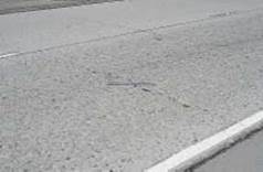 Figure 4.95 shows an example of high severity transverse cracking on a roadway with a jointed concrete pavement (JCP) surface.