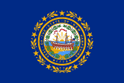 New Hampshire State Flag