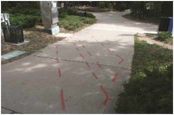 Examples of Inductance Loop Detector Shapes for Bicyclist Counting (Alternative Double Chevron Shape: Photo). This photo shows an installed alternative double chevron loop with spray paint used to highlight the cuts in the surface.