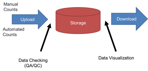 This figure shows the different elements of data management and storage. 