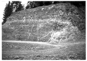 Photo of a rockfall catchment area