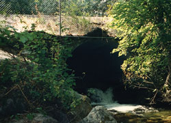 Photo of First Creek Fish Passage