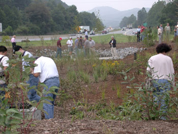 National Hydraulics Conference participants visit the North Carolina Department of Transportation's bioretention basin at I-40 and the Swannanoa River in Buncombe County. The basin diverts excess stormwater runoff and traps sediment and other pollutants.