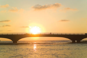 North Torrey Pines Road Bridge, San Diego, CA.