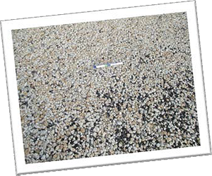 Chip Seal Surface