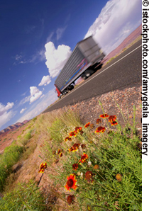 Photo. A ground-level view of a truck passing wild flowers.