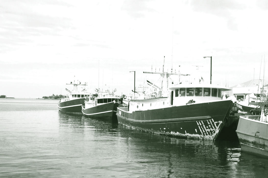 Figure 10. Photo. Three longline fishing vessels are seen lined up on a pontoon in Hawaii.