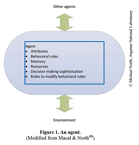 A diagram describing the features of a typical agent and its interaction with the environment and other agents. In the center of the diagram is a blue capsular field that contains a bulleted list with the heading Agent; the bullets underneath are: Attributes, Behavioral rules, Memory, Resources, Decision making sophistication, and Rules to modify behavioral rules. A green double-sided arrow is pointing to and from the capsule and the phrase Other agents written above the capsule; another green double-sided arrow is pointing to and from the capsule and the word Environment written below the capsule.