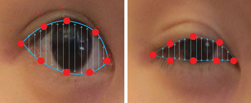 Two close-up photos of different eyes: one is wide open, the other slightly closed. Both photos are overlaid with images of lines and dots that demonstrate the distance between the eyelids and curvature of each eye, which may demonstrate driver alertness or fatigue. 