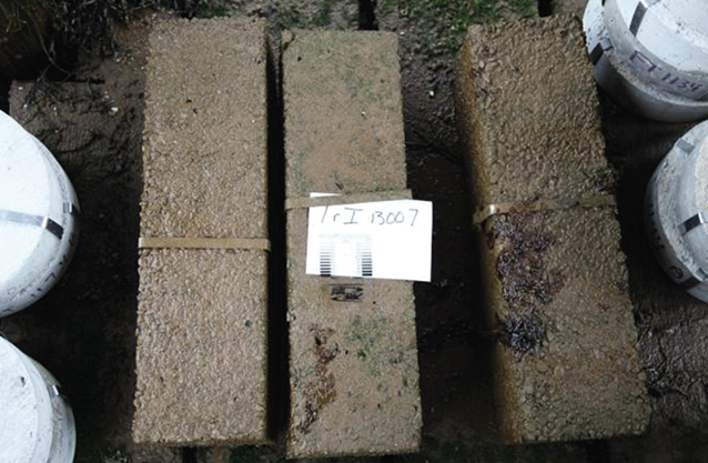 Photo of slag geopolymer beams at the U.S. Army Engineer Research and Development Center at Treat Island, Maine. The beams show no signs of cracking or expansion after 1 year of exposure to freezing and thawing conditions and sea water wetting and drying.