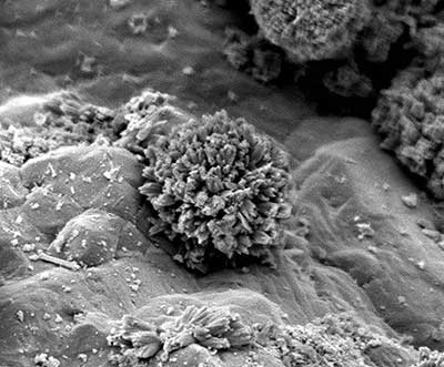 Nucleation of ettringite mineral in the interfacial transition zone.