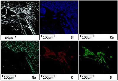 Backscattered electron images of a potassium sulfate crystal formed inside of a silica gel in the interfacial transition zone.