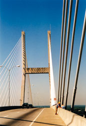 Engineer Inspecting bridge cables