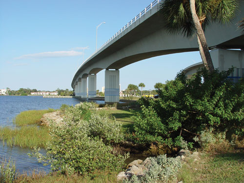 Side view from ground level of a high, curved, segmented box girder bridge with several spans, crossing a river. Six of its piers, guardrail and streetlight on the bridge, and green vegetation in the foreground and distance are visible. A small part of a second bridge is visible in the background.