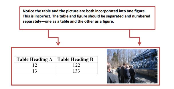 This figure shows an example of an unacceptable graphic with the sample of a table and figure combined into a Microsoft® Word figure. The table is depicted into the figure rather than as a Microsoft® Word table in which data can be easily changed in all of the cells.