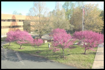 Turner Fairbank Facility