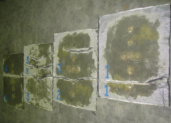 This photo shows all four geosynthetic reinforcement layers from the test 4 composite mass. Four sheets are shown, with sheet 1 on the right side and sheet 4 on the left side. Clear rupture lines can be seen, which highlight the location of maximum strain.