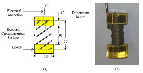 The schematic and the photo show the electrical lead and epoxy end coating