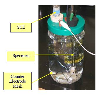 The photo shows a A S T hyphen 2 B test specimen, counter electrode mesh, and reference electrode.